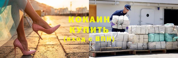 шишки Аркадак
