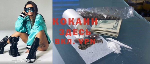шишки Аркадак