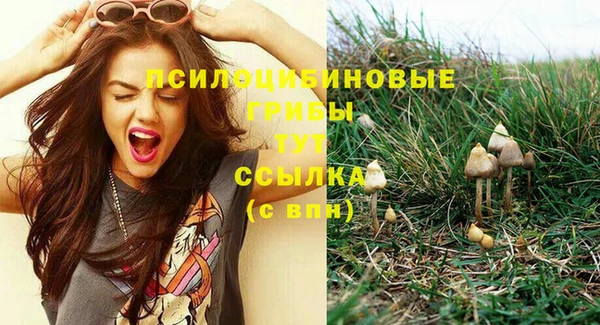 СК Покачи
