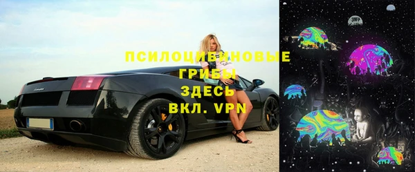 шишки Аркадак